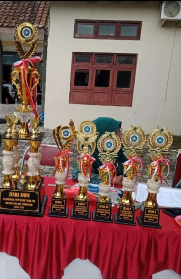 Penyerahan Penghargaan Dalam Pelaksanaan 10 Program Pokok PKK